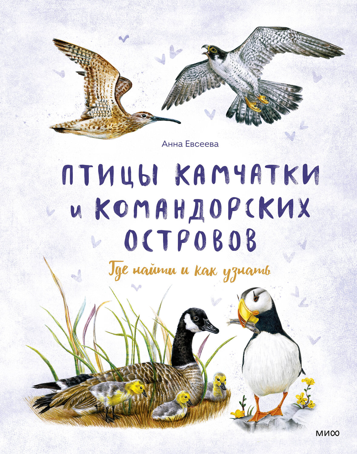 Эксмо Анна Евсеева "Птицы Камчатки"