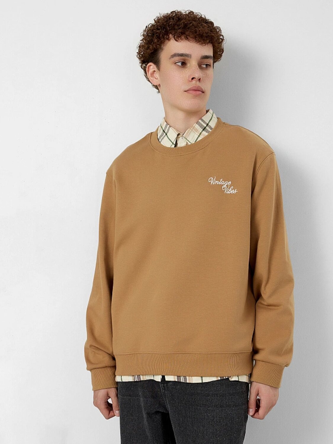 MARK FORMELLE Свитшот 558981 121939 т.бежевый