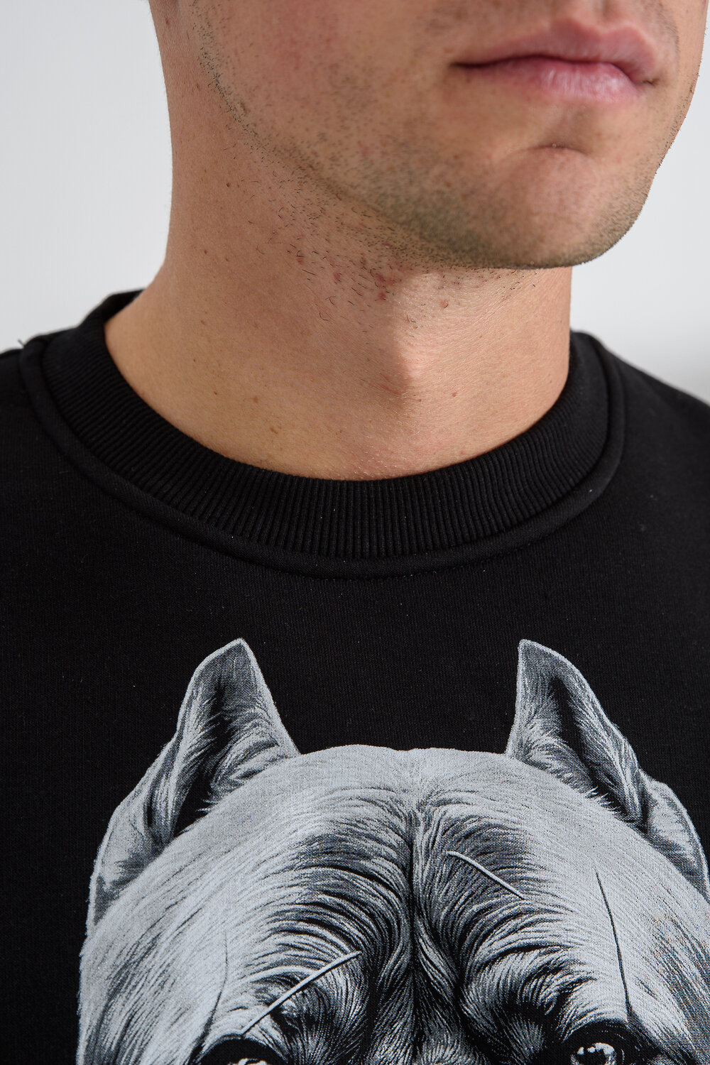 Натали Свитшот 560162 8559 черный+питбуль