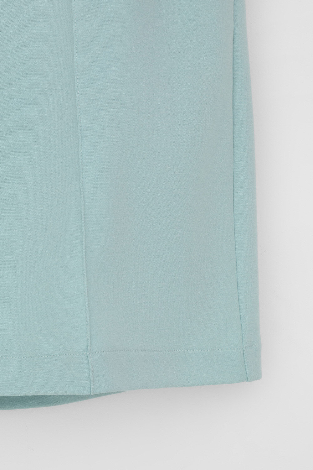 VERY NEAT Шорты 568678 ЕВТ 4128 минт