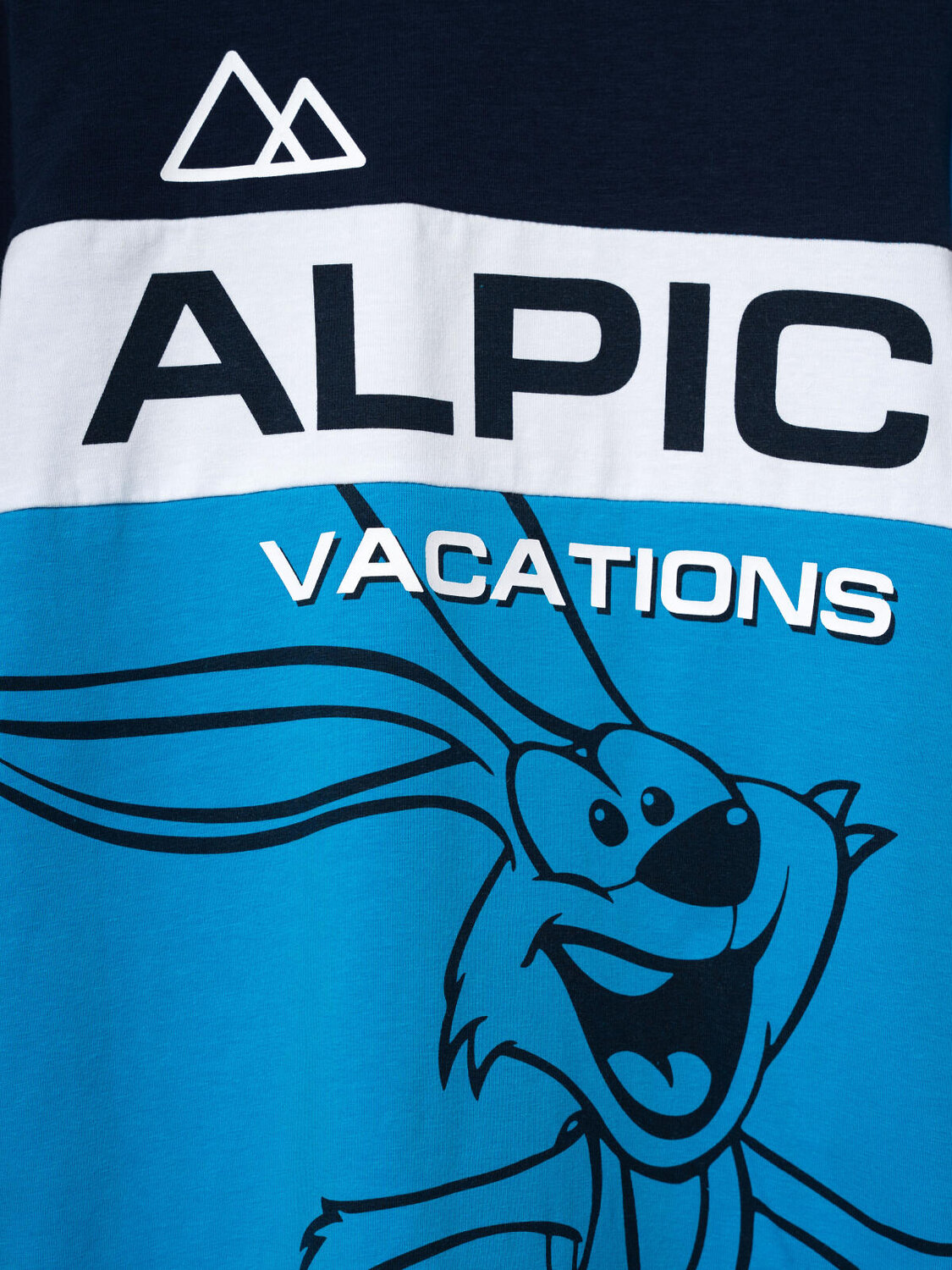 PLAYTODAY Фуфайка 570094 32511223 тёмно-синий,ярко-синий,белый