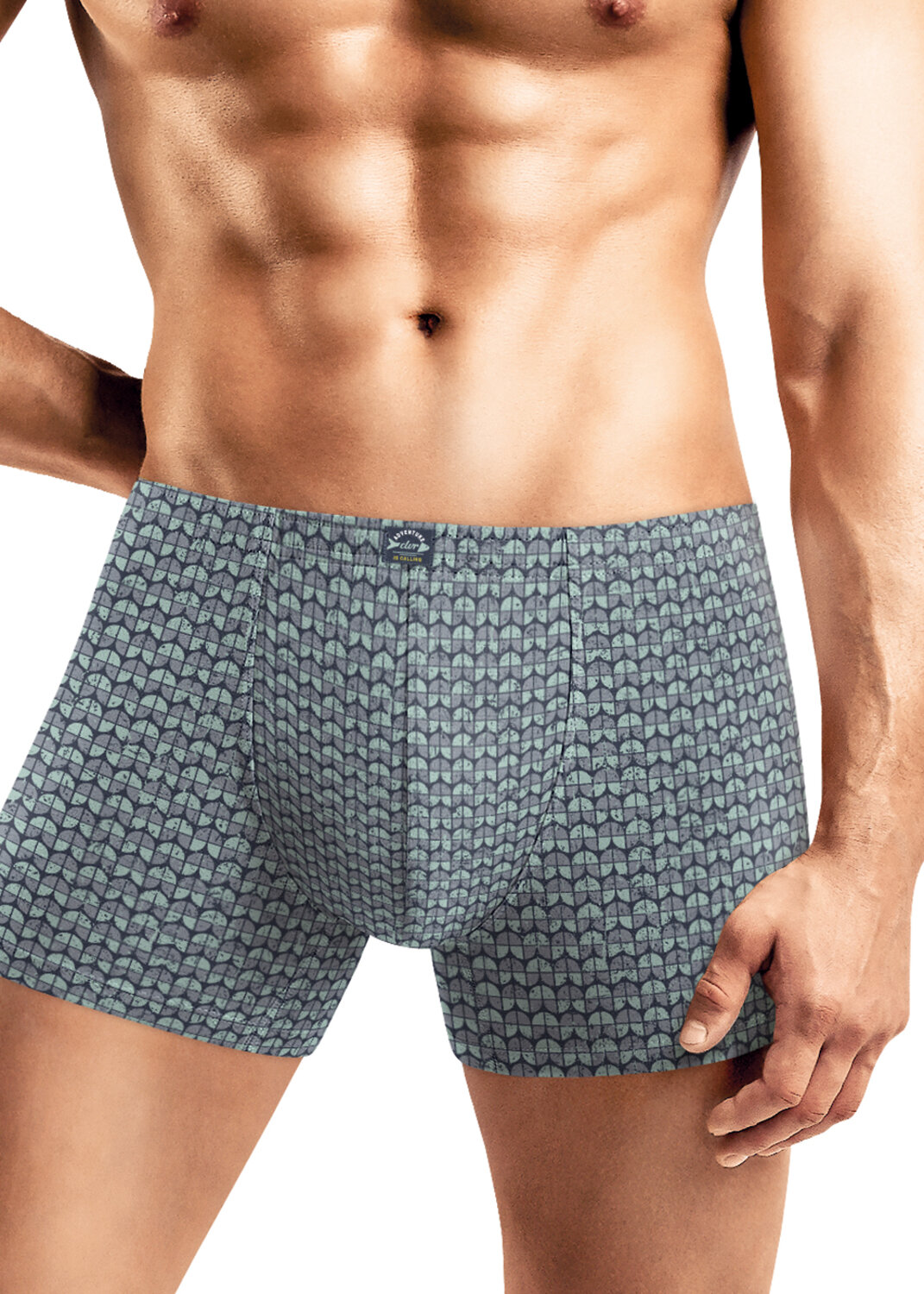 CLEVER Трусы 570989 MSH451711 св.зелёный/серый