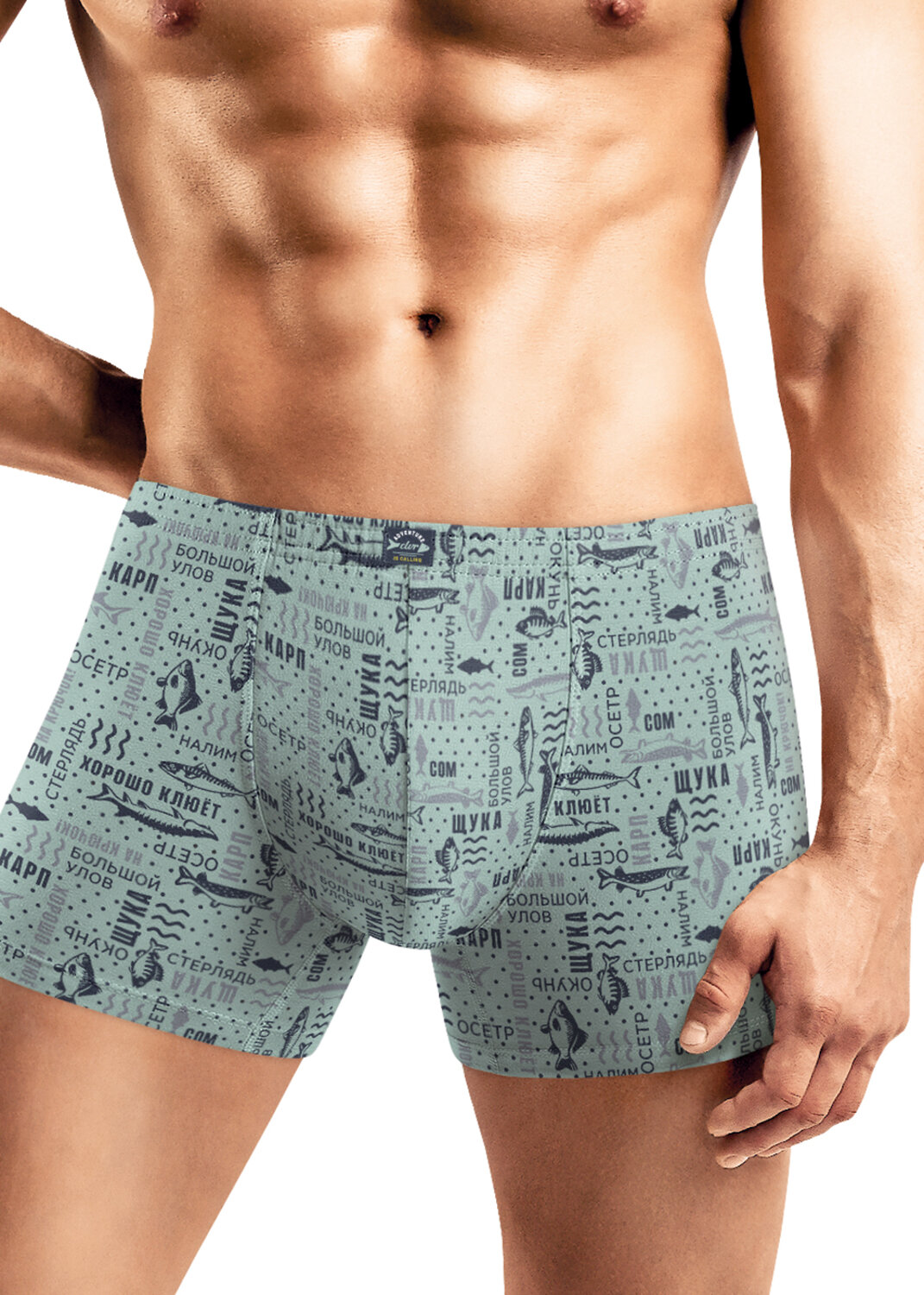 CLEVER Трусы 571002 MSH451731 св.зелёный/т.серый