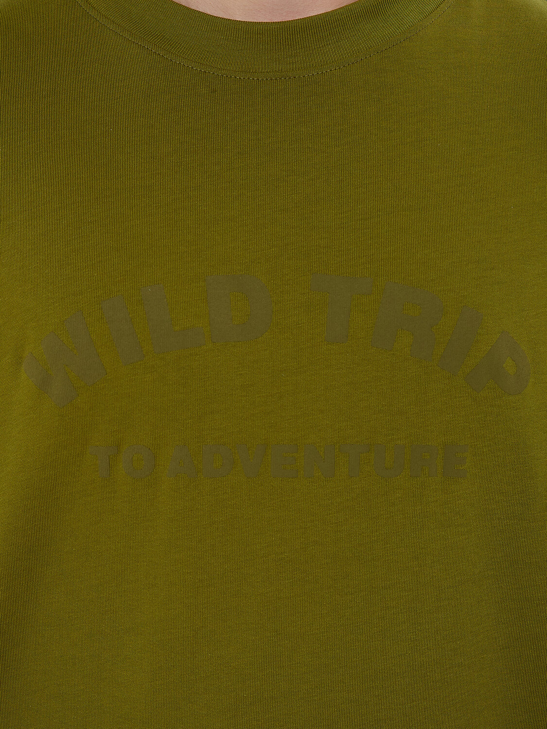 MARK FORMELLE Футболка 572433 111892 травяной +печать