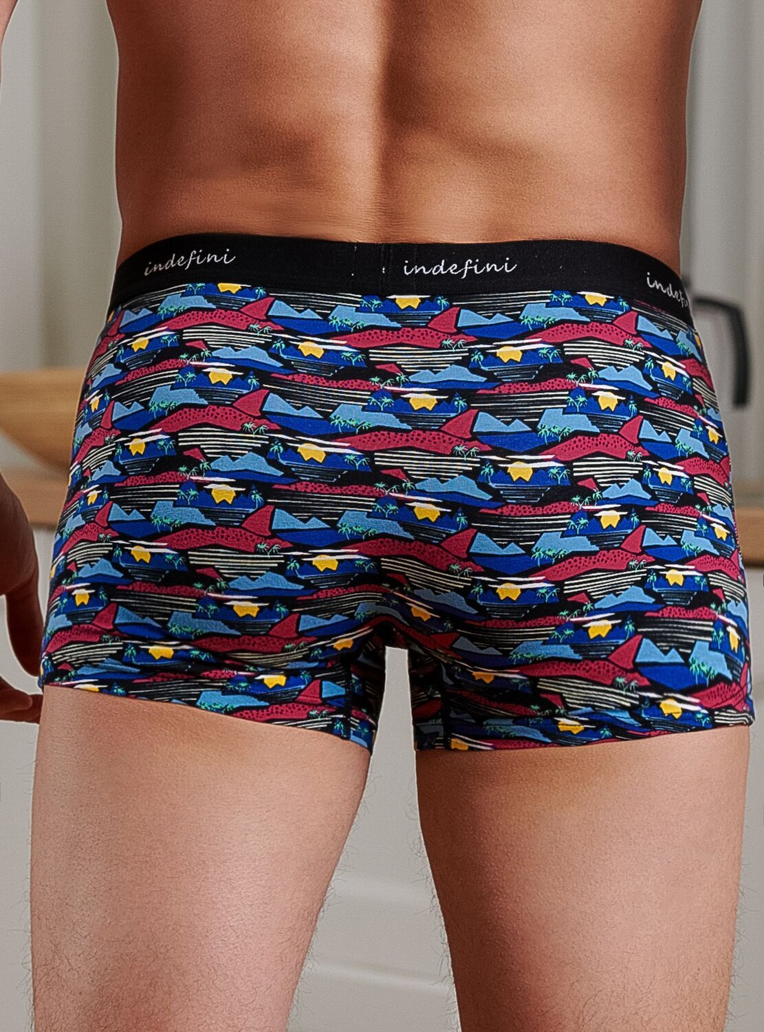 INDEFINI Трусы 572570 3008MUF Мультиколор