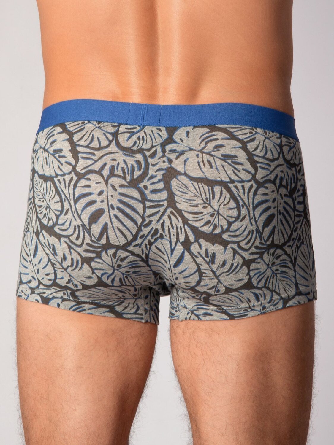 INDEFINI Трусы 572571 3029MUG Серый