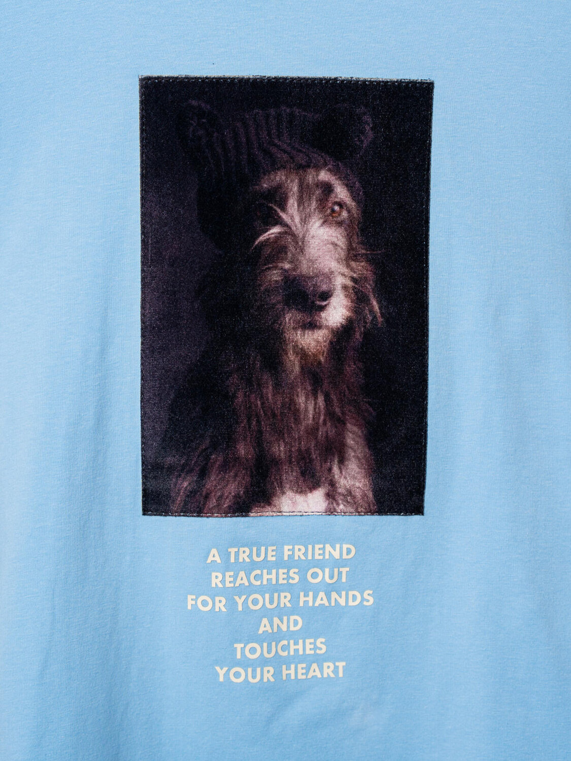 PLAYTODAY Фуфайка 573257 32521466 голубой