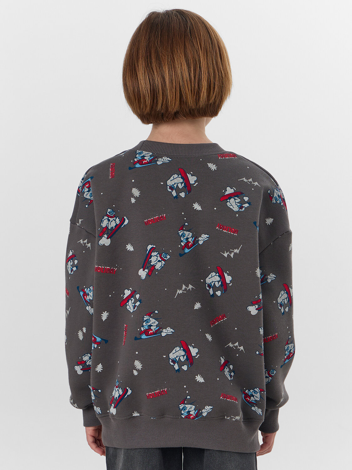 MARK FORMELLE Свитшот 573357 123437/1 йети на гранитном