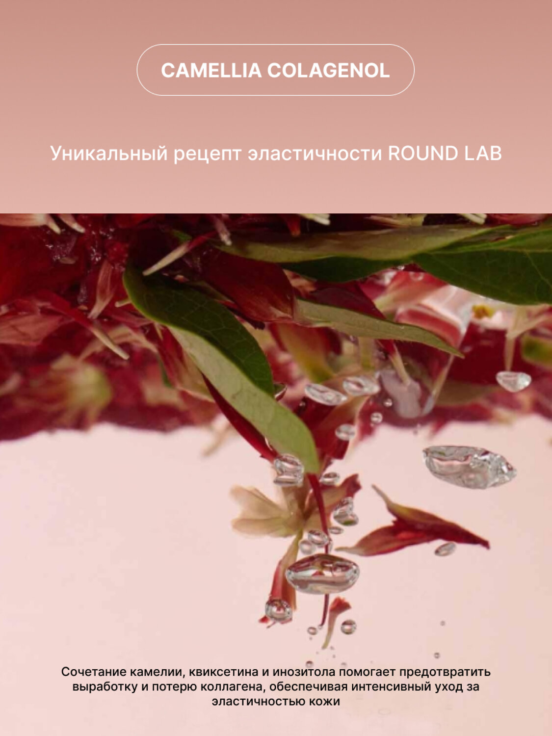 ROUND LAB Гель-пенка для умывания с экстрактом камелии 2 в 1 / Camellia Deep Collagen Jelly Pack Cleanser, 150 мл 573409 28016 