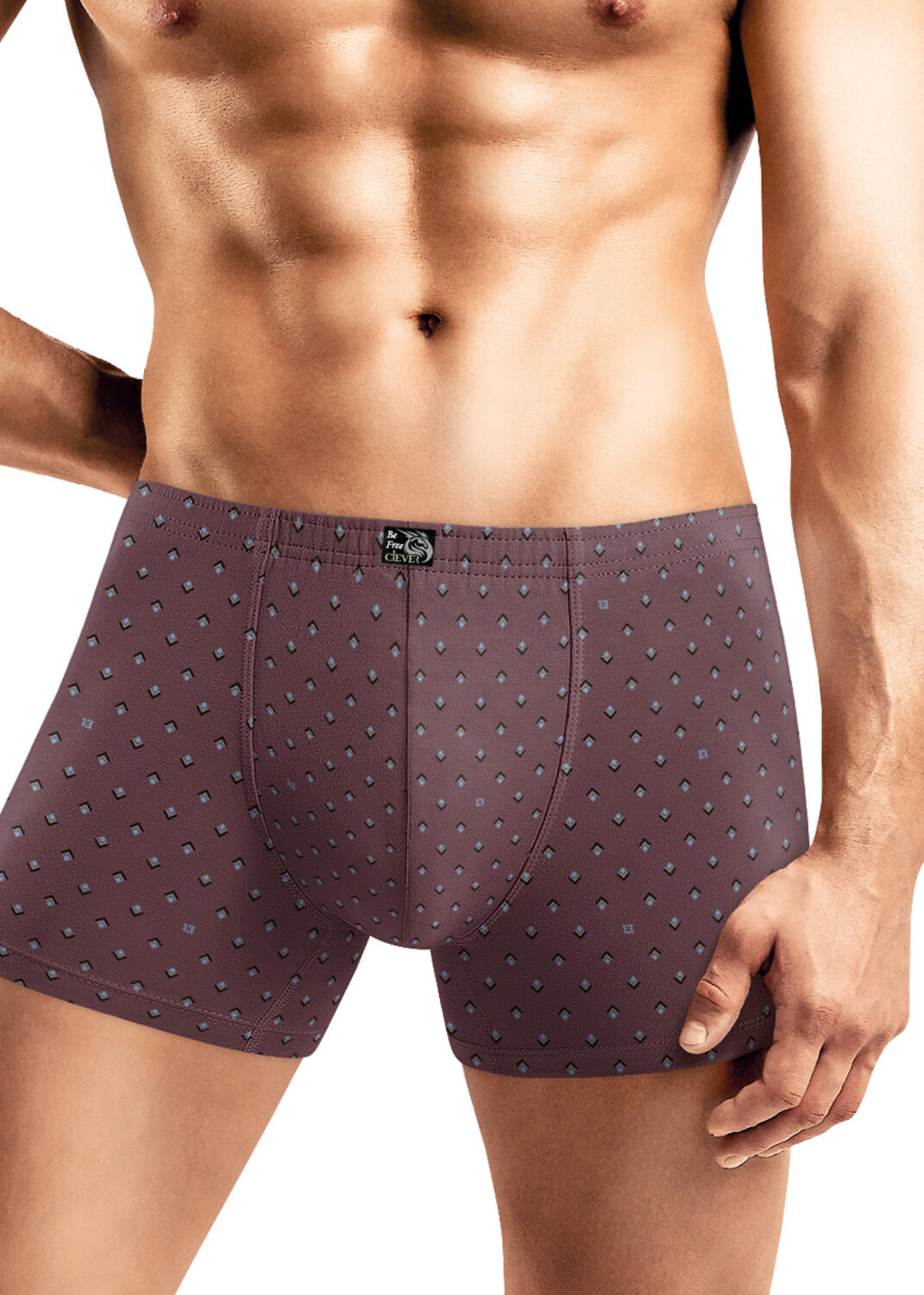 CLEVER Трусы 573819 MSH452131 т.коричневый/св.голубой