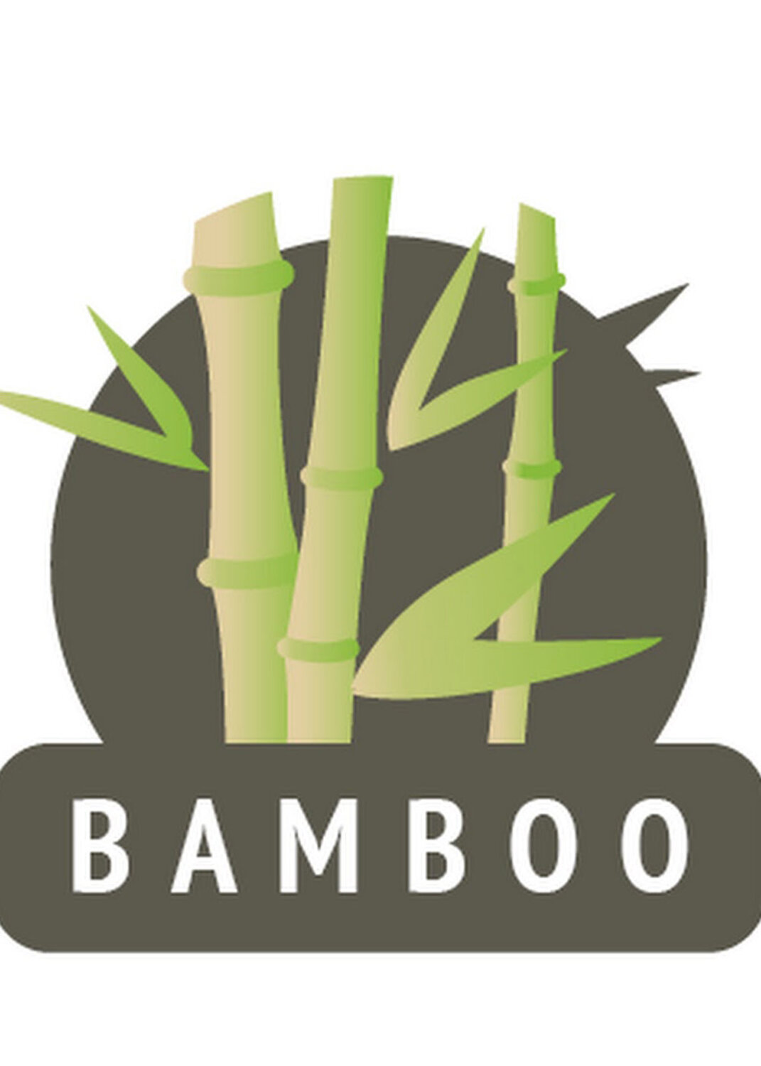 CLEVER Носки 573883 Б101Л св.серый