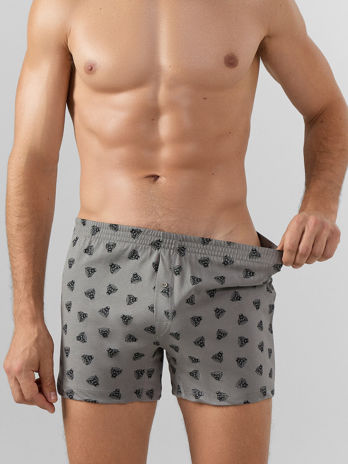 MARK FORMELLE Трусы 574189 411152 пантера на сером