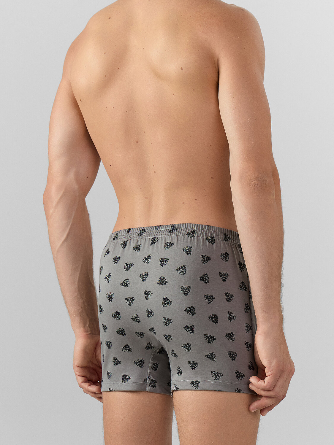 MARK FORMELLE Трусы 574189 411152 пантера на сером
