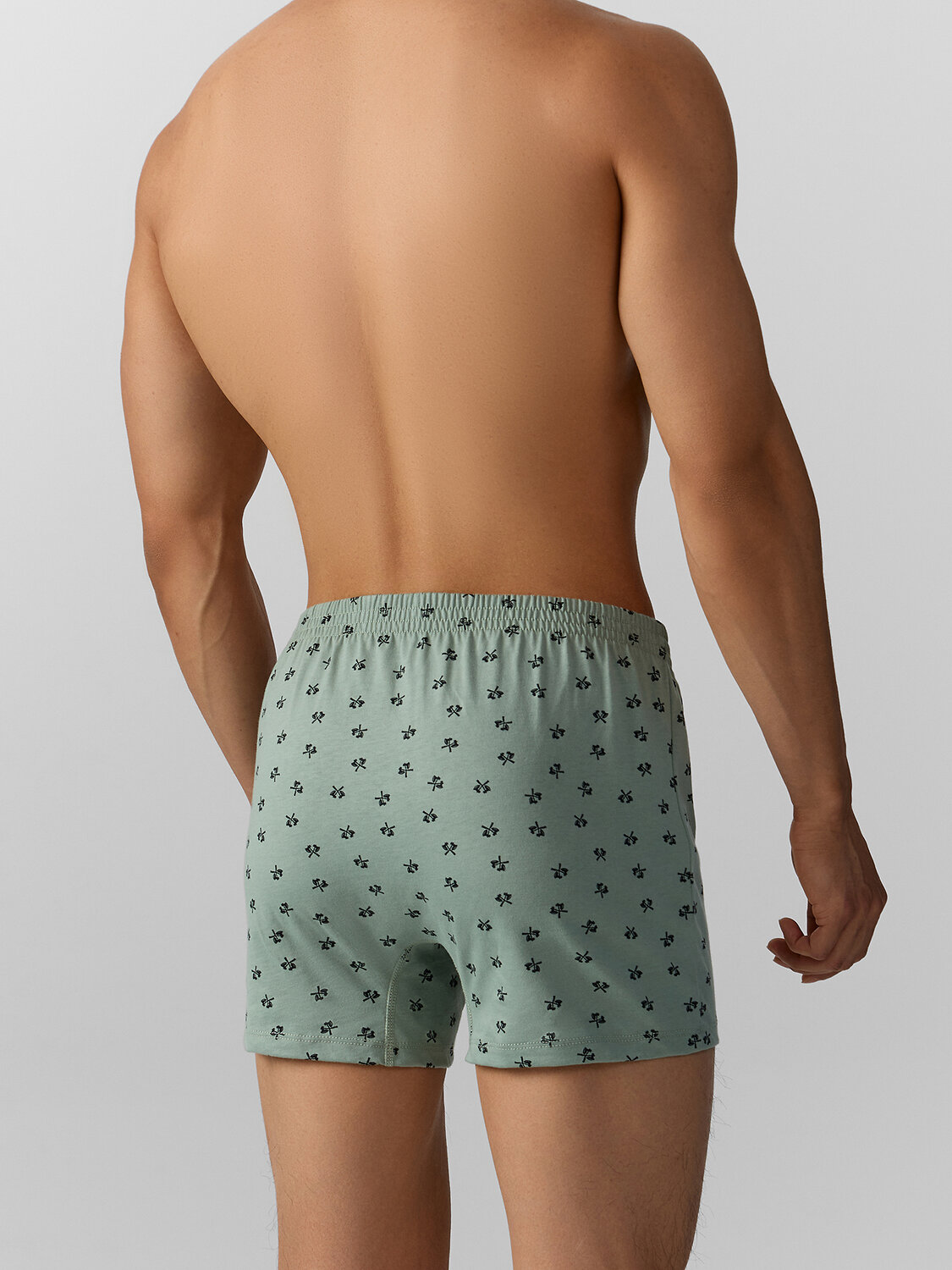 MARK FORMELLE Трусы 574192 411152 топоры на зеленом льду