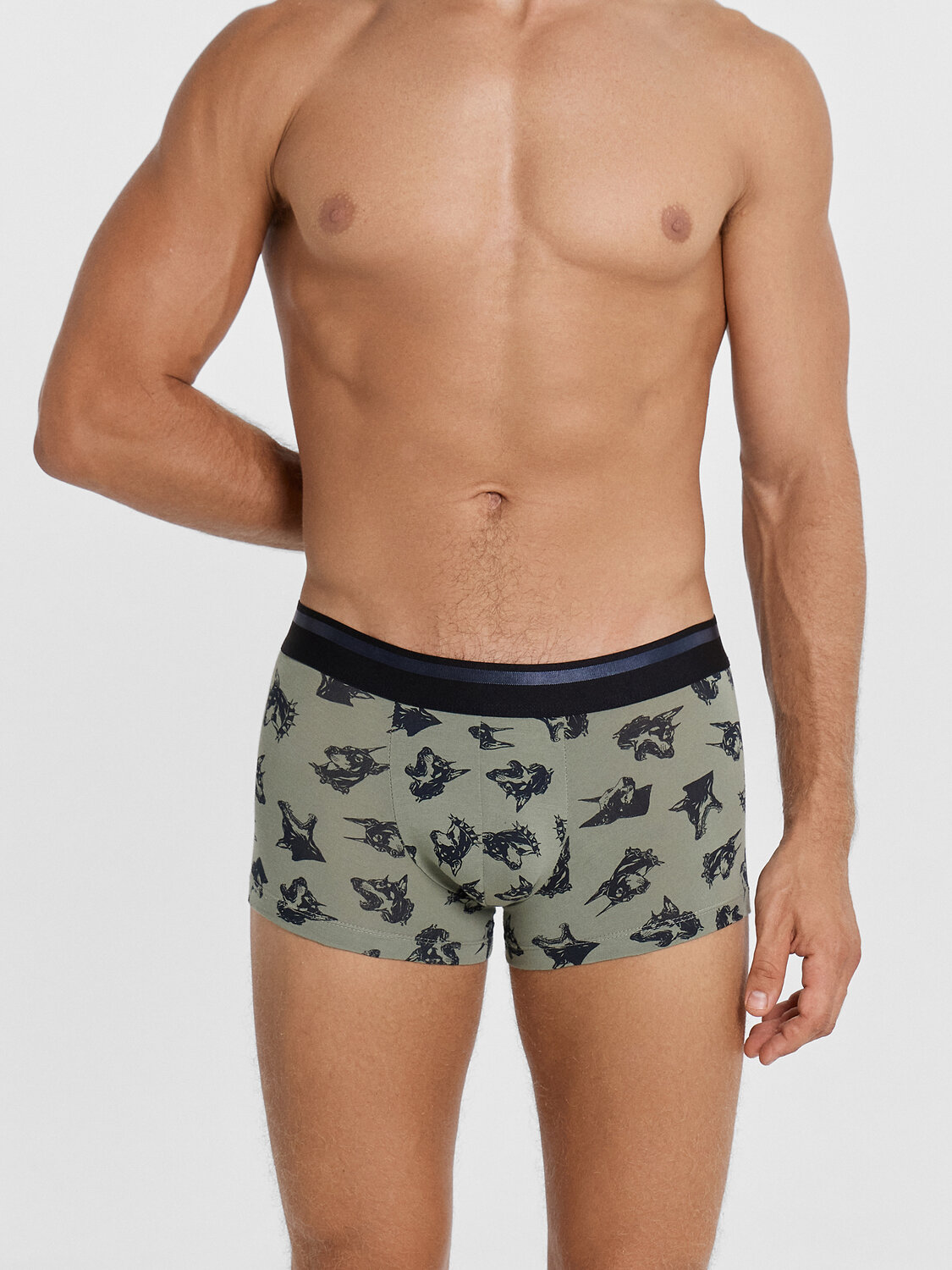 MARK FORMELLE Трусы 574318 411215 доберманы на хаки