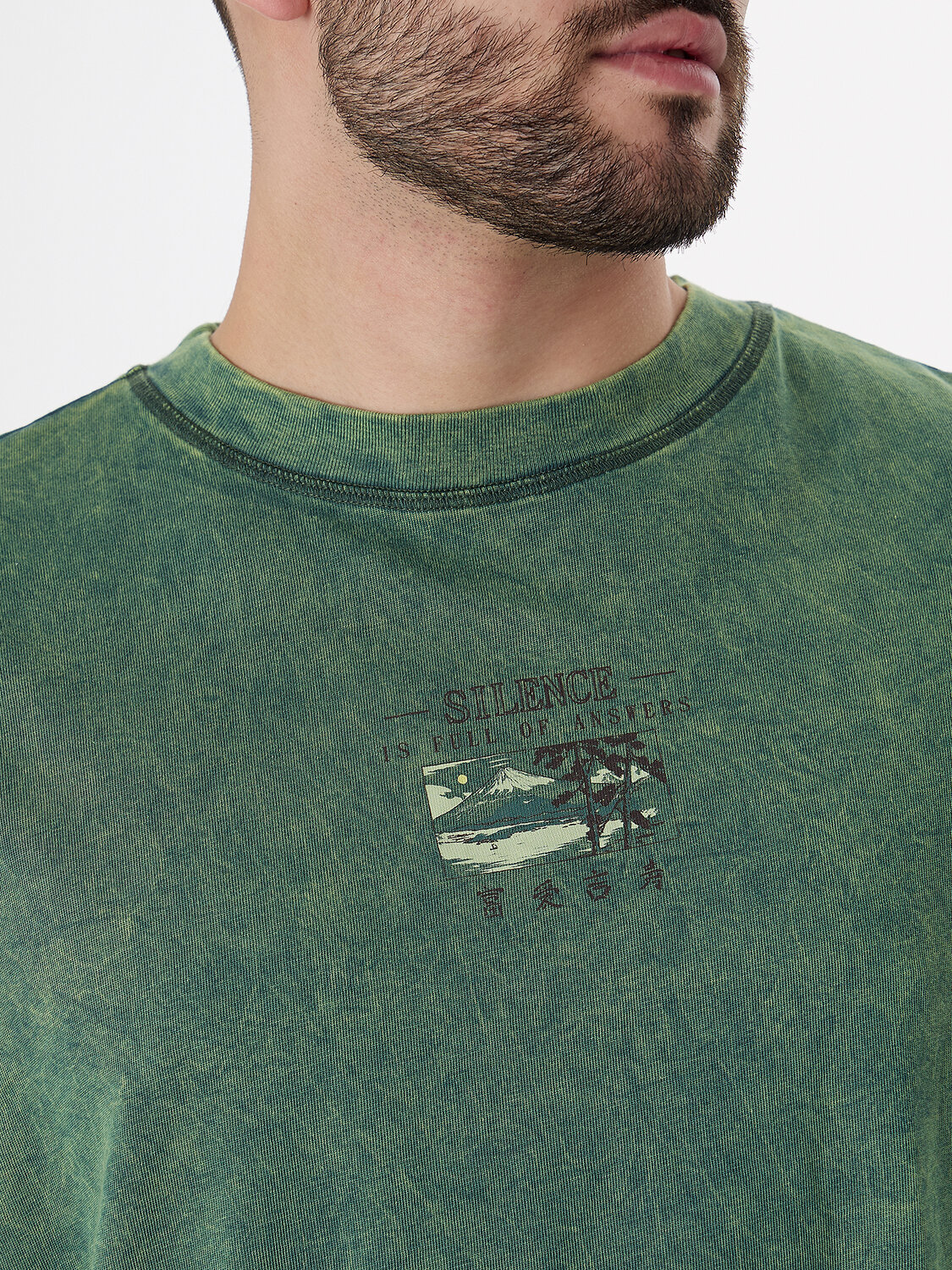 MARK FORMELLE Футболка 575029 111899 ACID WASH травяной +печать