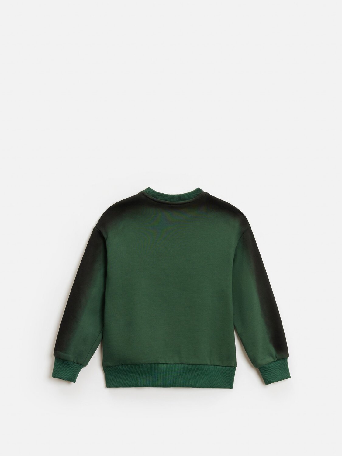 Acoola Джемпер 582992 20120170204 зеленый