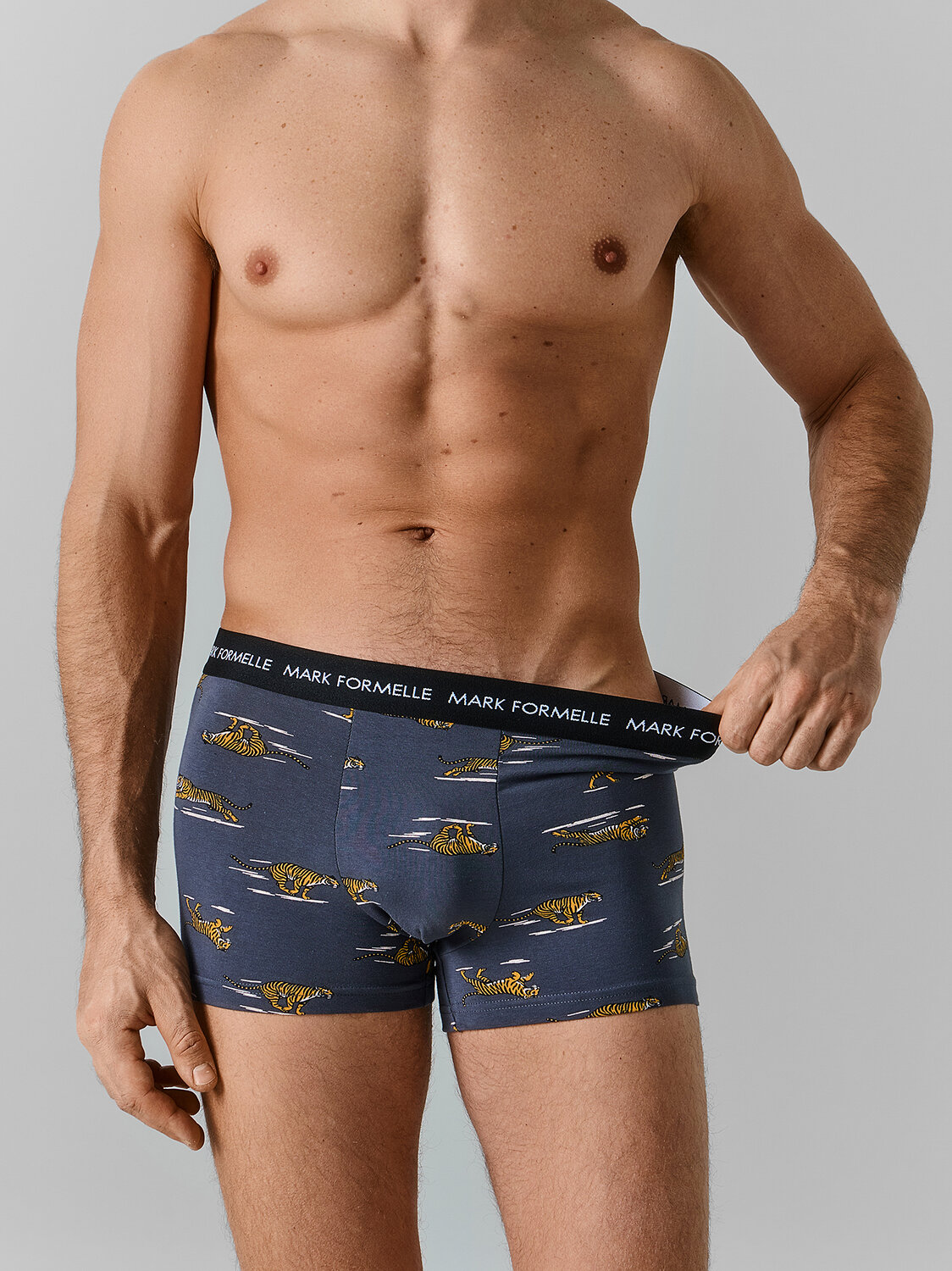 MARK FORMELLE Трусы 584023 411228 тигры на графите