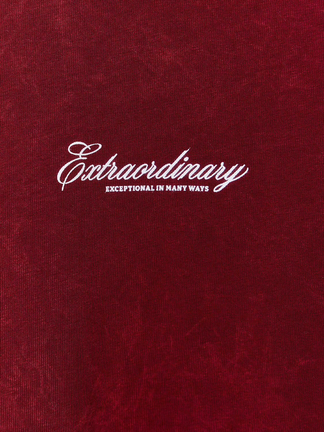 MARK FORMELLE Футболка 584251 111883 ACID WASH портвейн +печать