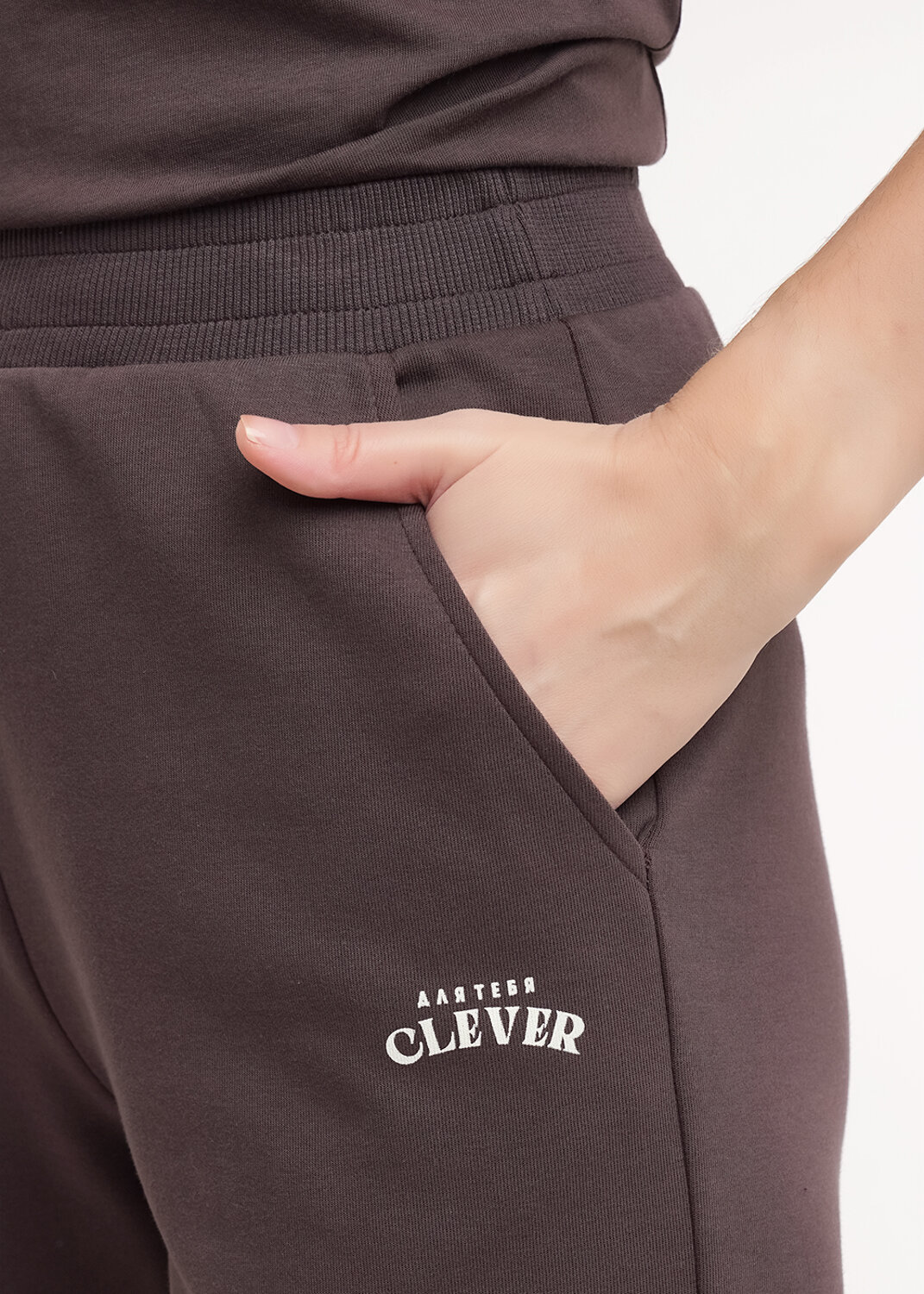 CLEVER Брюки 586107 LTR26-100 коричневый