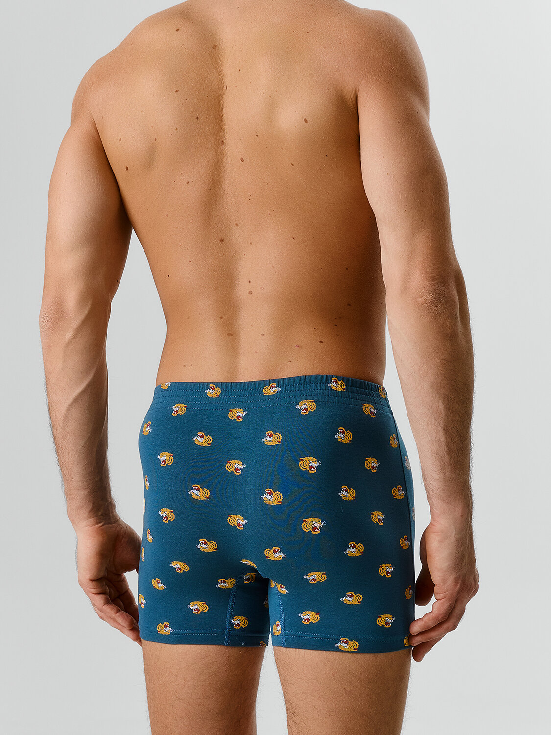 MARK FORMELLE Трусы 586851 411143 тигры на морской волне
