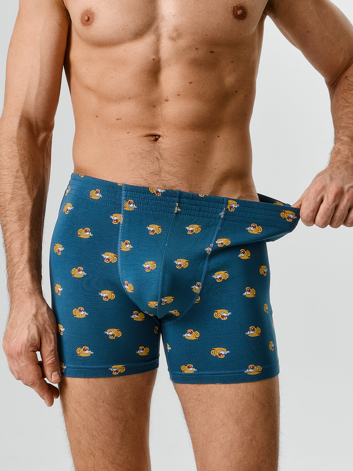 MARK FORMELLE Трусы 586851 411143 тигры на морской волне