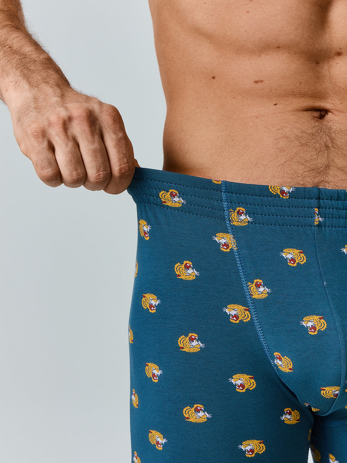 MARK FORMELLE Трусы 586851 411143 тигры на морской волне