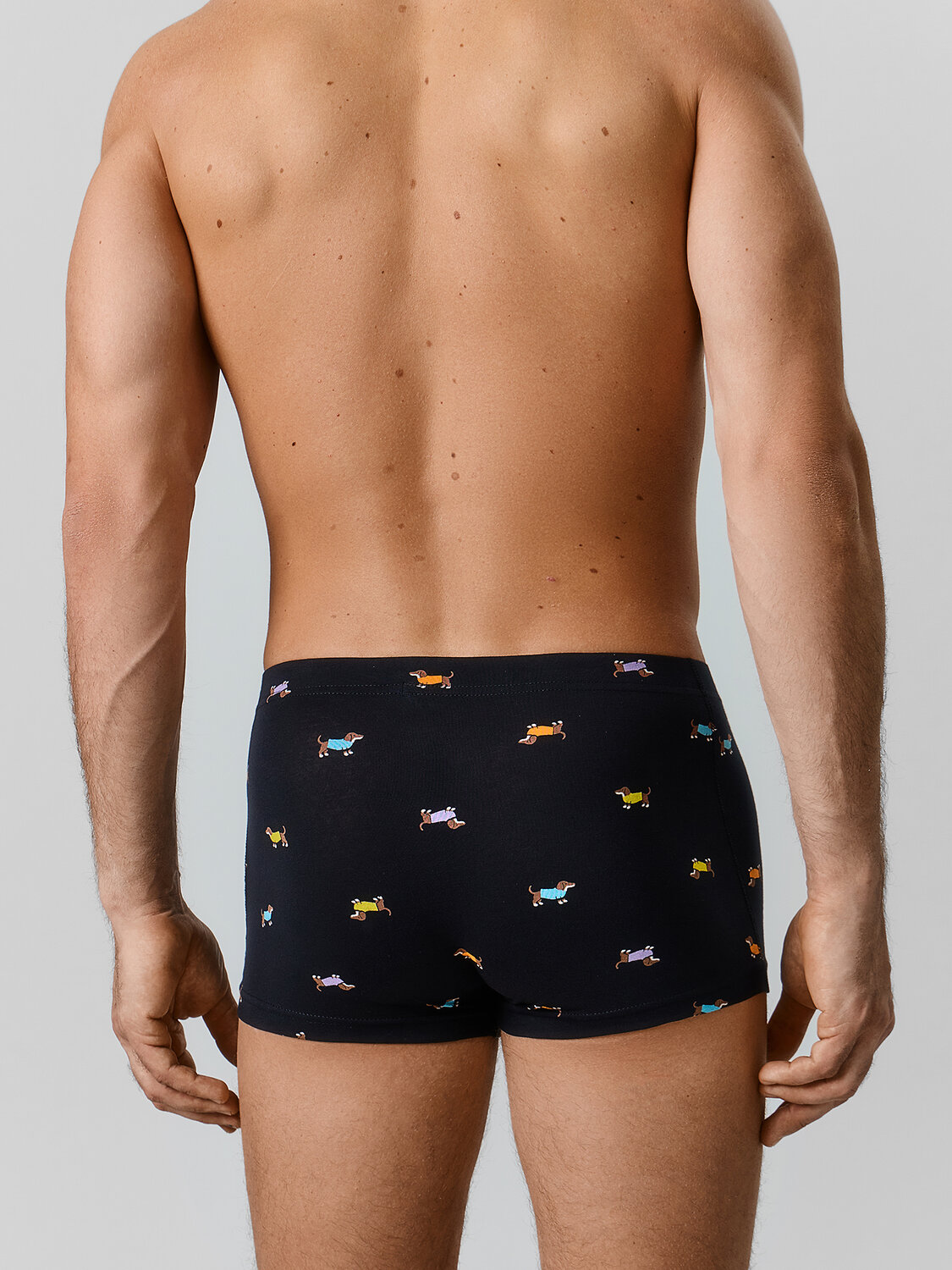 MARK FORMELLE Трусы 586855 411229 таксы на черном