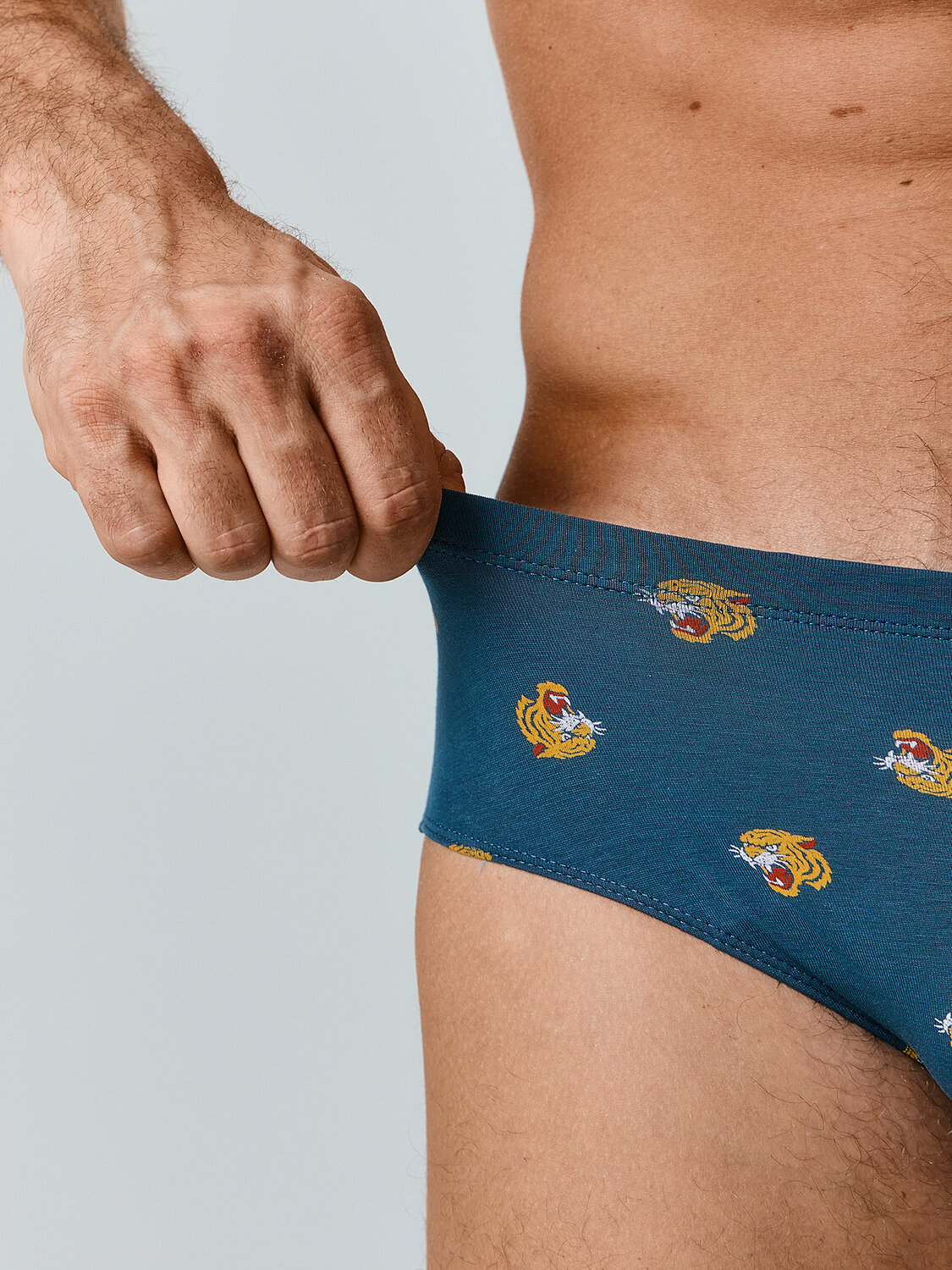 MARK FORMELLE Трусы 586858 411120 тигры на морской волне