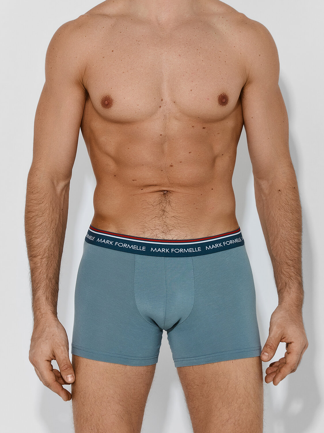 MARK FORMELLE Трусы 586870 411221-4 полынь