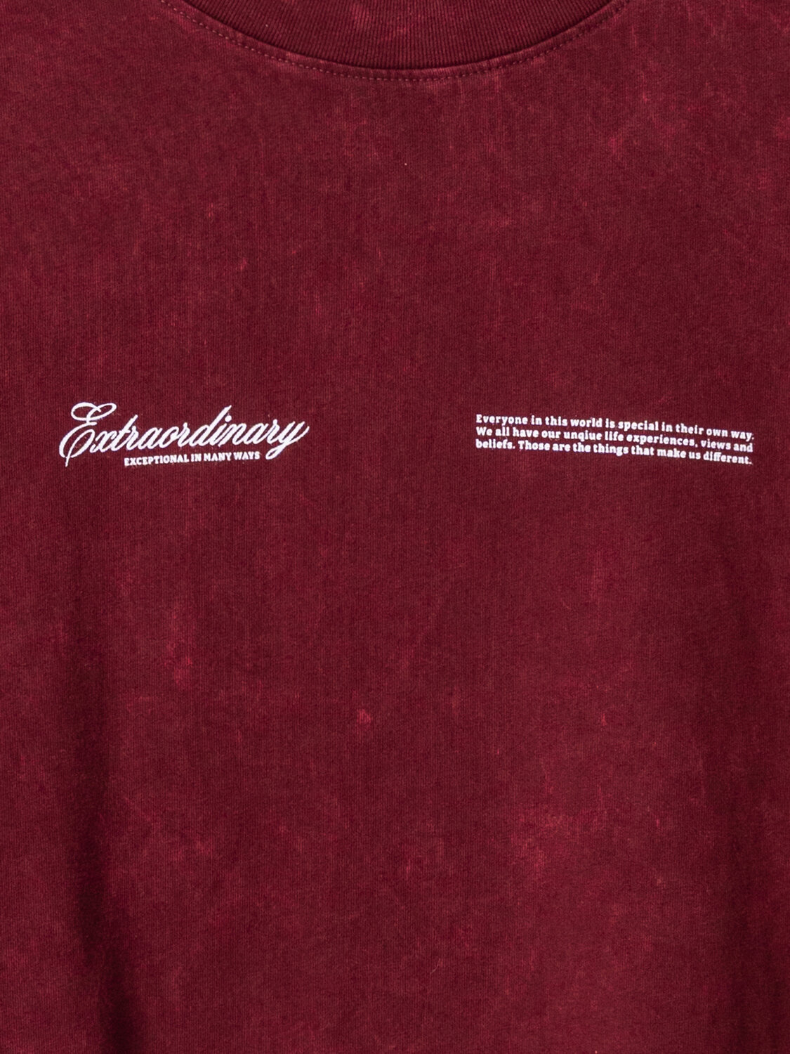 MARK FORMELLE Футболка 586893 111883 ACID WASH портвейн +печать1