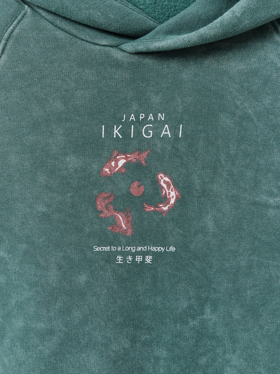 MARK FORMELLE Худи 586898 121825 ACID WASH травяной +печать