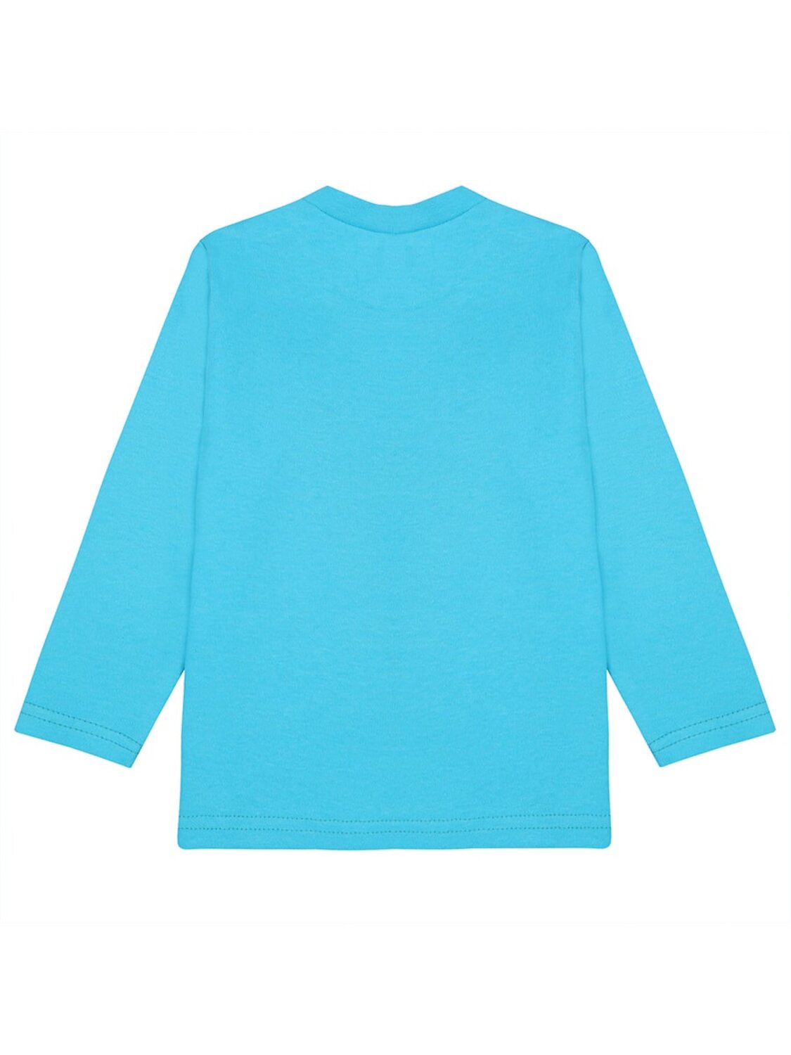 Bonito Джемпер 587219 BK0006M бирюзовый