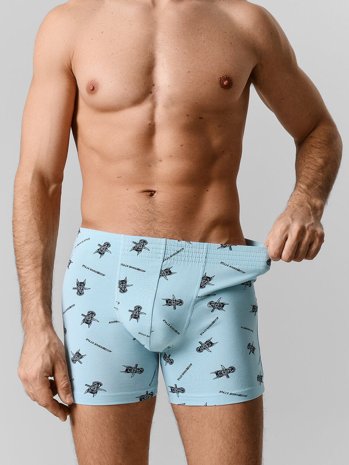 MARK FORMELLE Трусы 589137 411143 доберманы на серо -бирюзовом