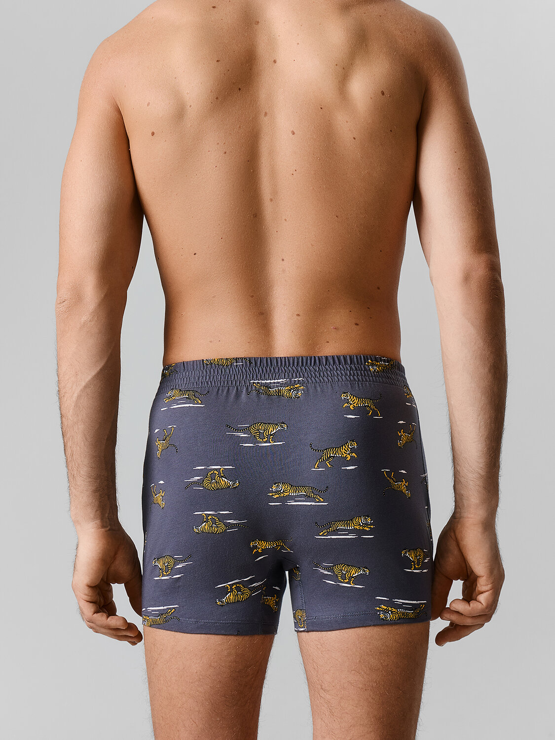 MARK FORMELLE Трусы 589145 411152 тигры на графите