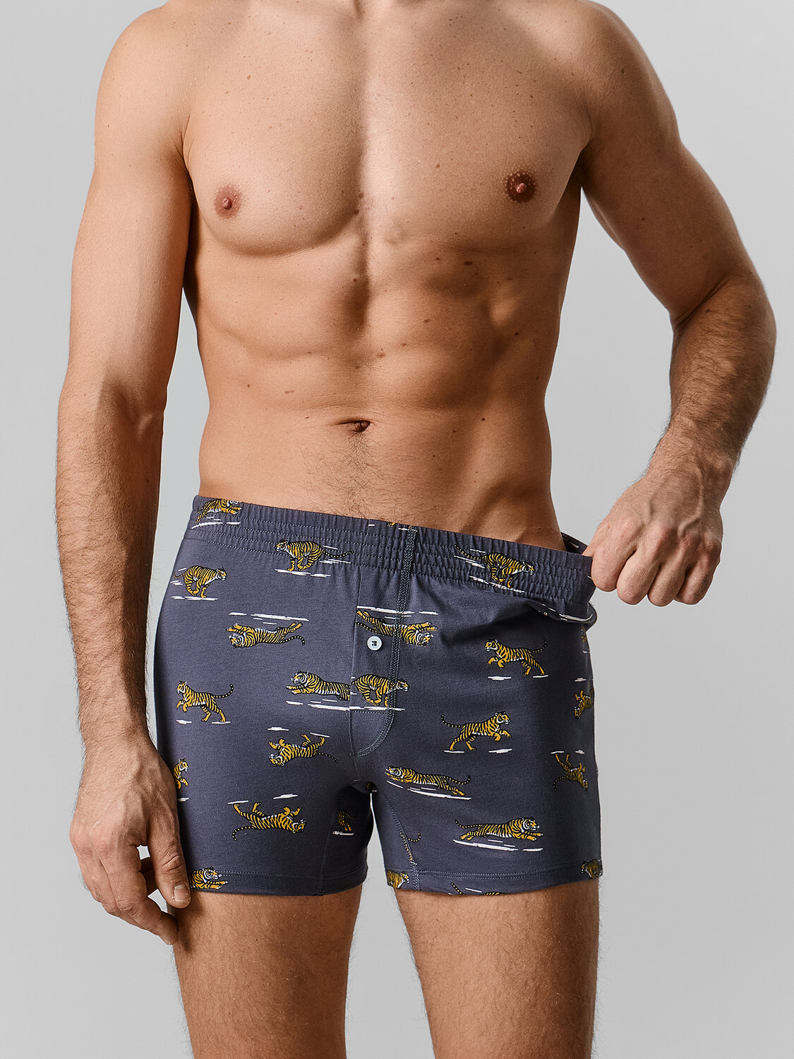 MARK FORMELLE Трусы 589145 411152 тигры на графите