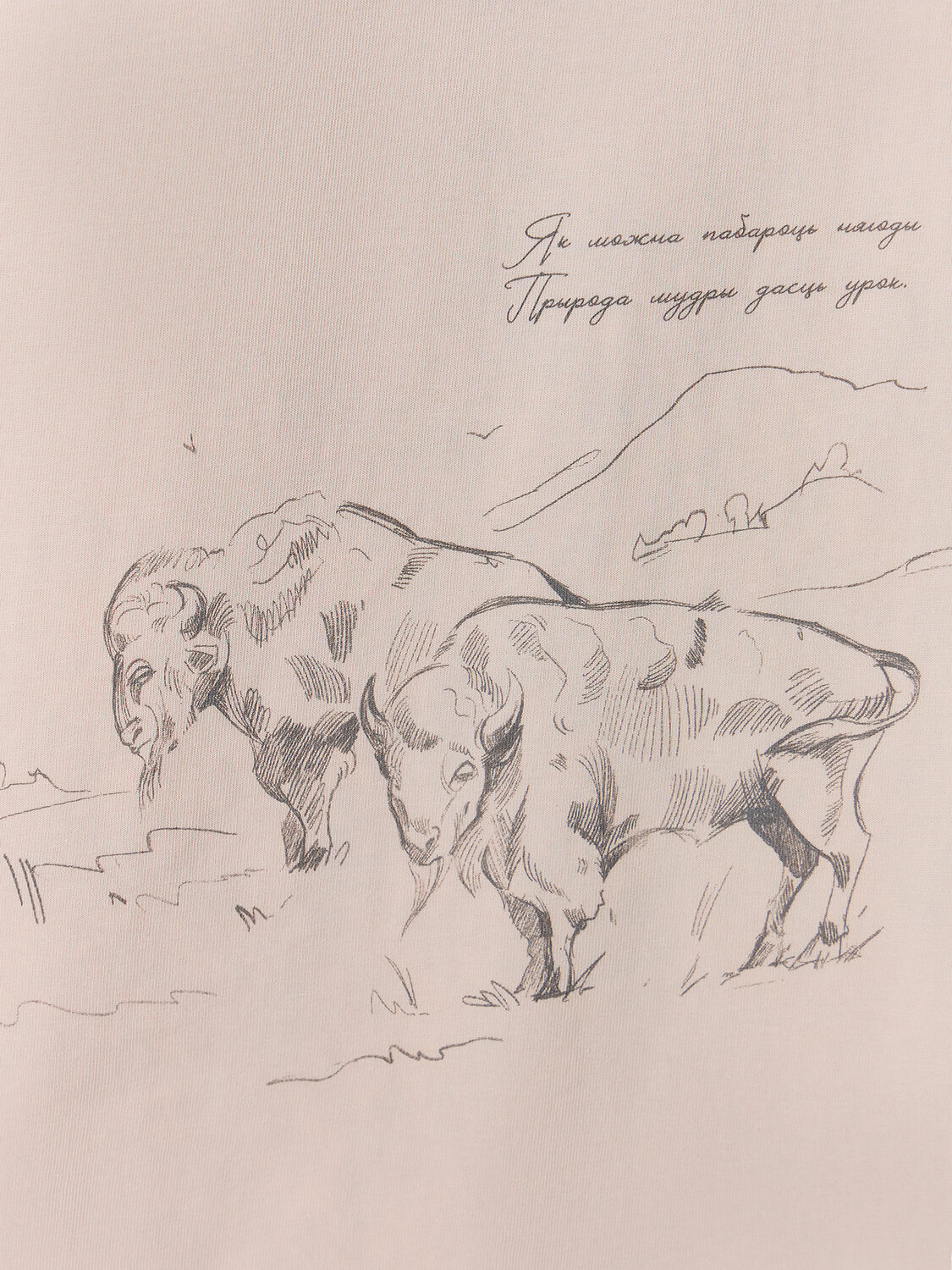 MARK FORMELLE Футболка 589176 111846 лед +печать