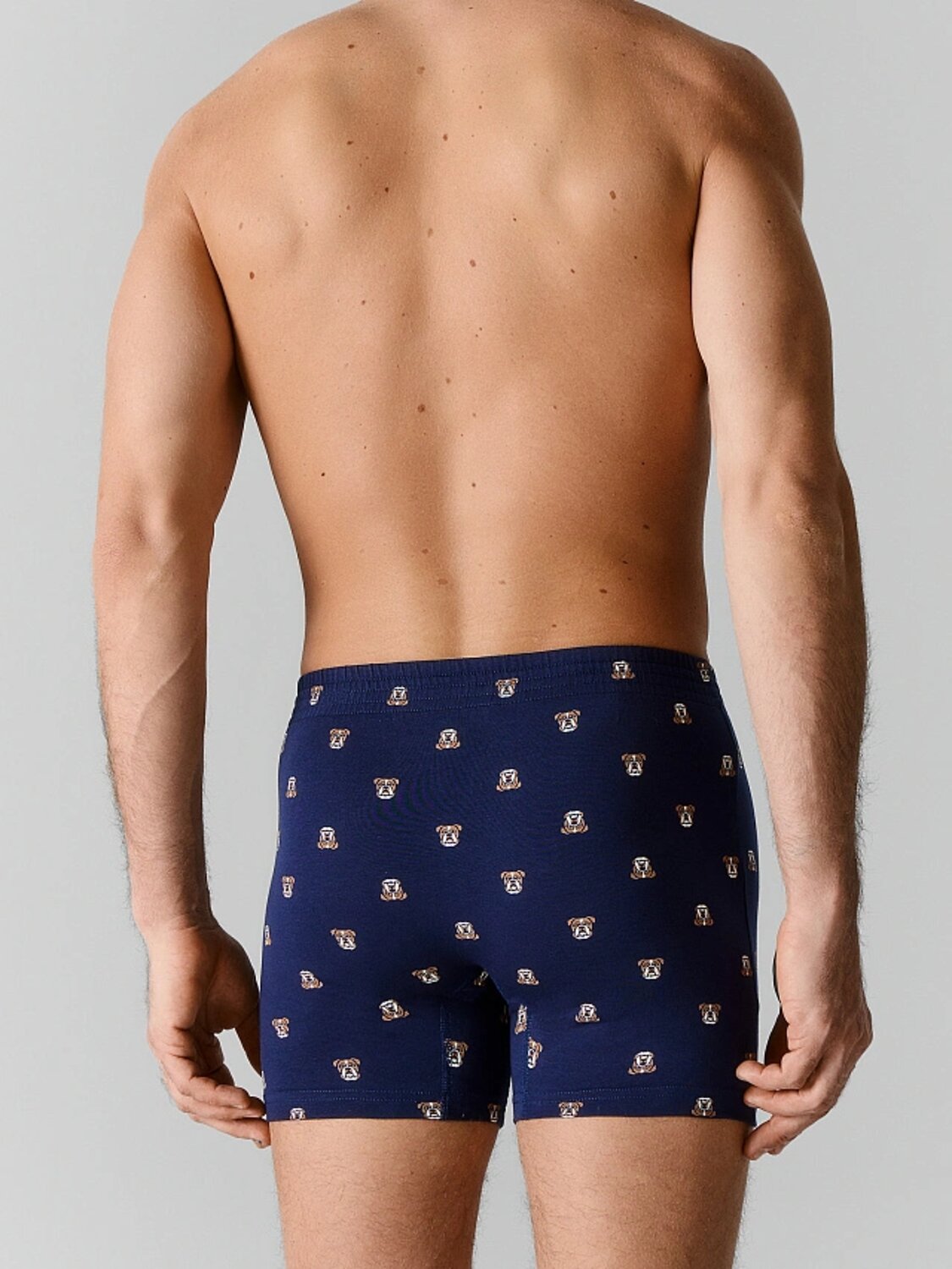 MARK FORMELLE Трусы 589650 411143 бульдоги на т.синем