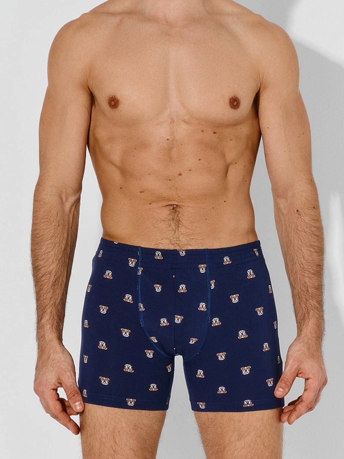 MARK FORMELLE Трусы 589650 411143 бульдоги на т.синем