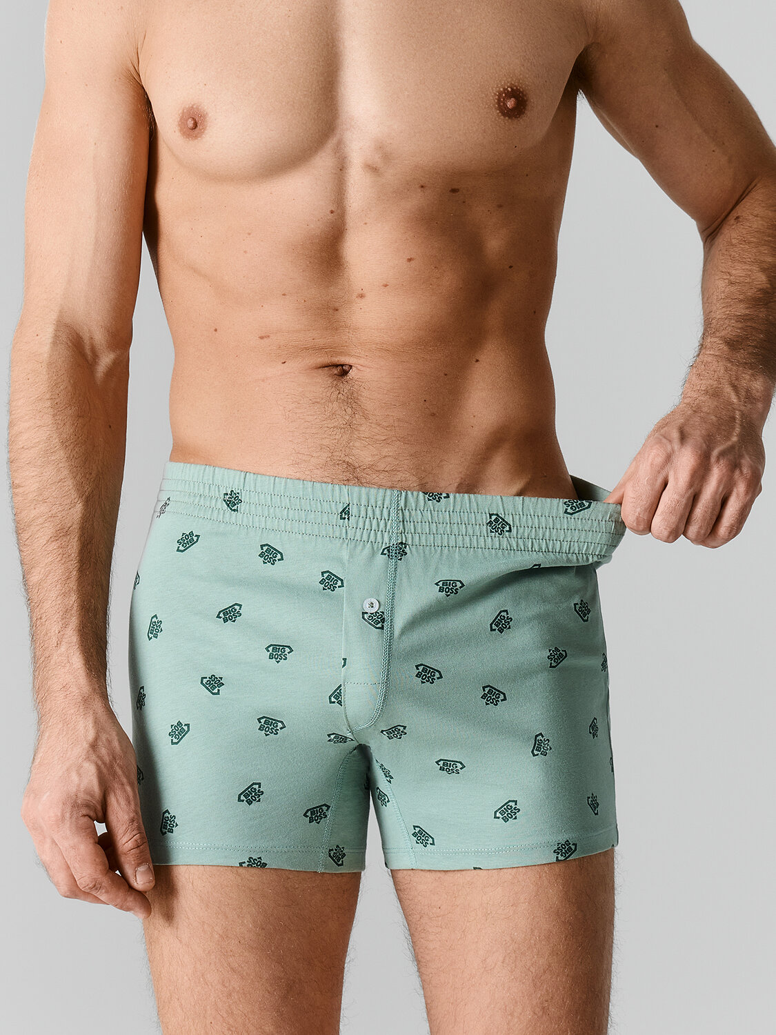 MARK FORMELLE Трусы 590608 411152 биг босс на зеленом