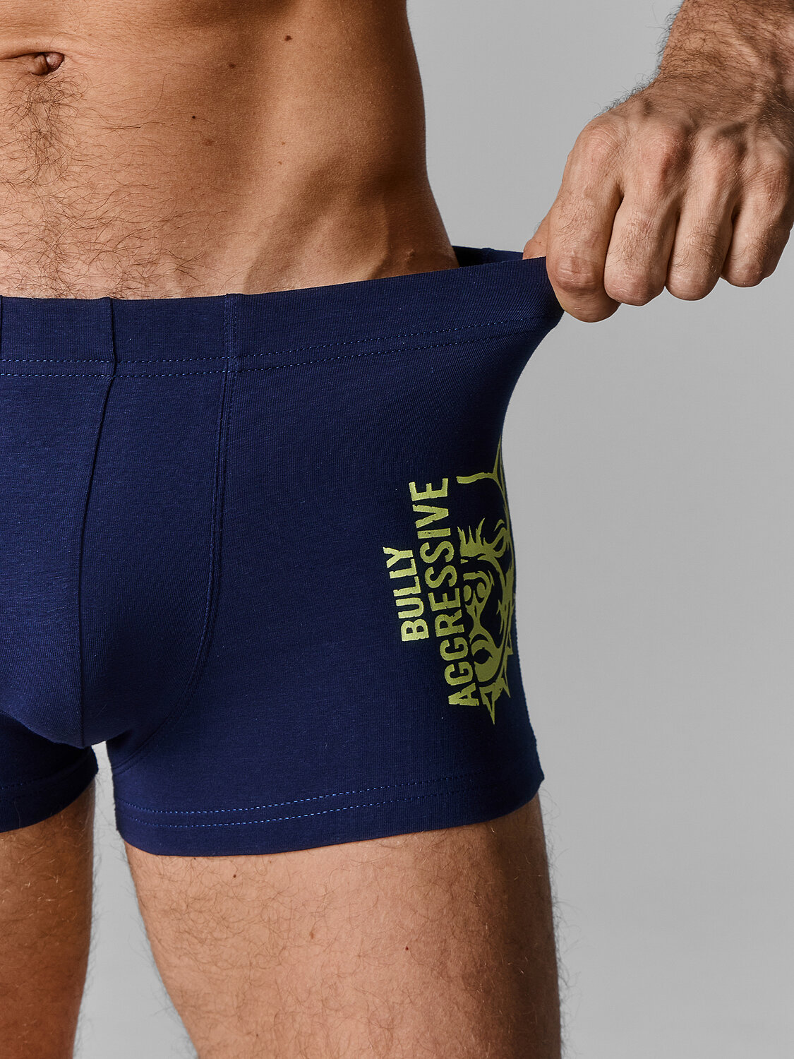 MARK FORMELLE Трусы 591546 411229-2 затмение +собачки на зеленом лайме