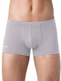 БРЕСТСКИЕ Трусы 208500 BOXER BRIEFS 6200 св.серый