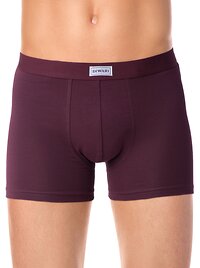 DiWaRi Трусы 270952 BASIC SHORTS 700 (на вешалке) бордо