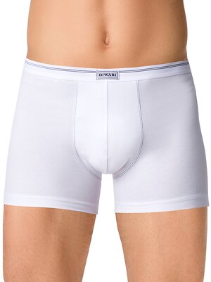 DiWaRi Трусы 192150 SHORTS MSH 015 (в коробке) White