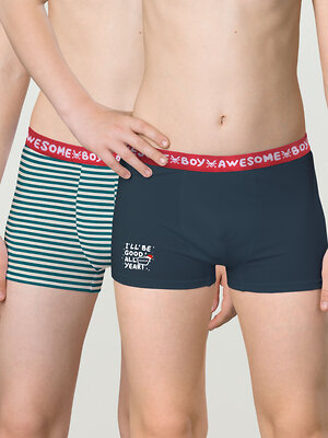 PELICAN Трусы 263523 BUHB4307(2) Серый/темно-синий