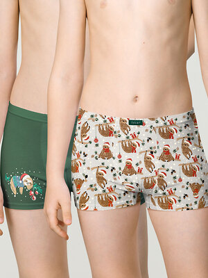 PELICAN Трусы 263525 BUHB4309(2) Хаки/серый