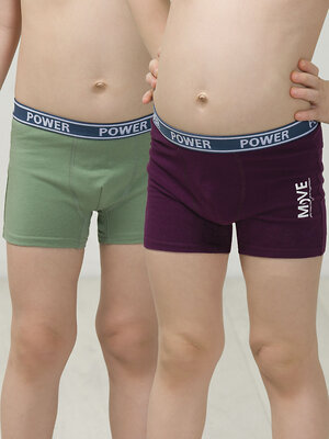 PELICAN Трусы 298280 BUHB3304(2) Черника/хаки