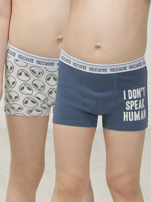 PELICAN Трусы 299136 BUHB3297(2) Сиреневый/светло-серый