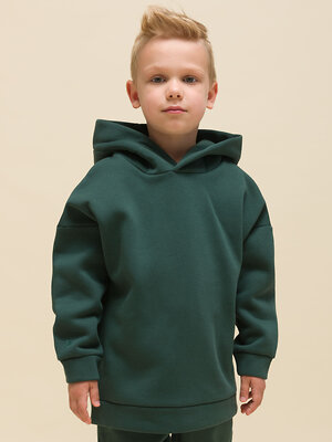 PELICAN Толстовка 313881 UFNK3323 Изумрудный