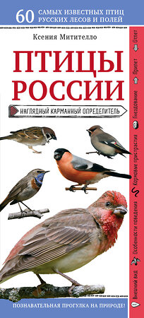 Эксмо Ксения Митителло "Птицы России. Наглядный карманный определитель (для ПР)" 342673 978-5-04-096363-8 